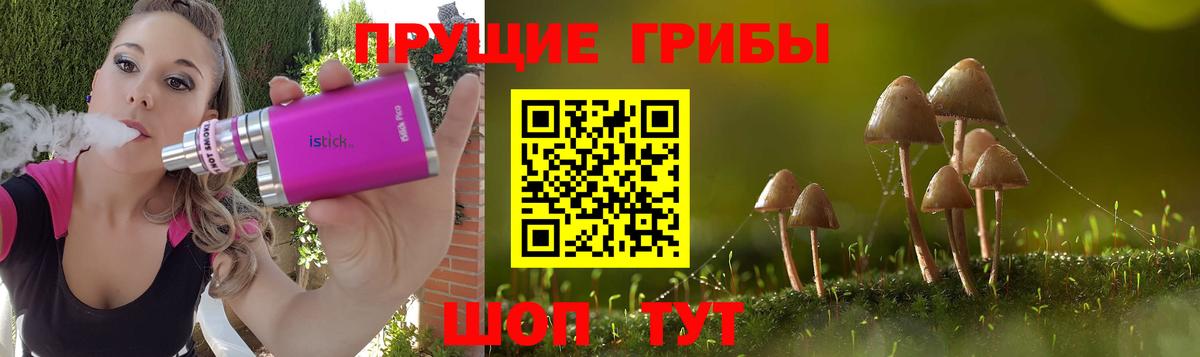 Галлюциногенные грибы Magic Shrooms Пушкино
